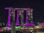 Thank you, Singapore
