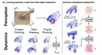 Learning Dexterous Deformable Object Manipulation Through Cross-Embodiment Dynamics Learning